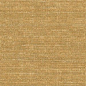 Vegas Gold Roman Blind