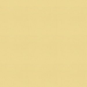 Salem Buttercup Roman Blind