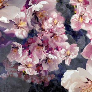 Mystery Berry Curtain