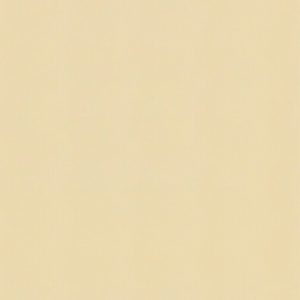 Salem Oyster Roman Blind