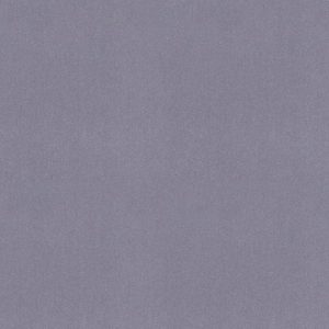 Salem Flint Roman Blind