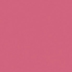 Salem Tropix Roman Blind