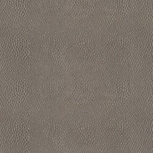 Phoenix Otter Roman Blind