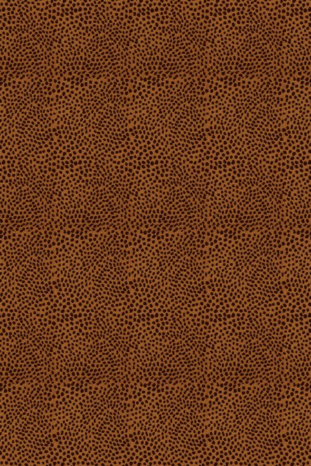 Phoenix Rust Roman Blind Phoenix Rust Roman Blind