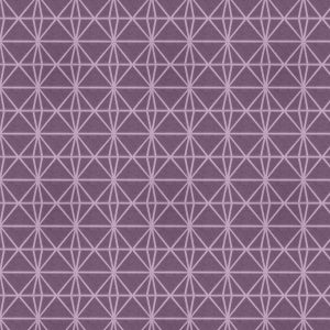 Icarus Aubergine Curtain