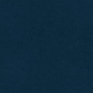 Olympia Navy Curtain