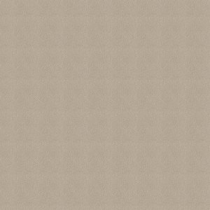 Phoenix Taupe Curtain