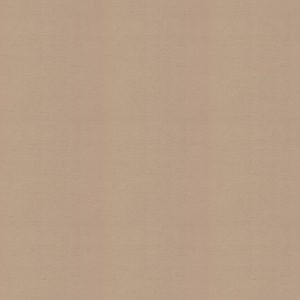 Orka Latte Roman Blind