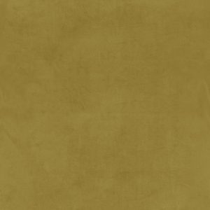 Olympia Lime Curtain