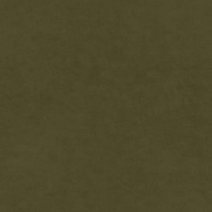 Olympia Fern Curtain