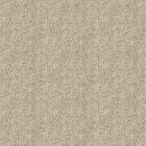 Edmund Oyster Roman Blind
