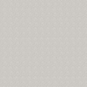 Savvy Silver Curtain