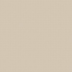 Lagom Champagne Roman Blind