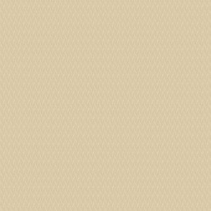 Reza Champagne Curtain