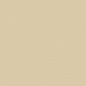 Reza Champagne Roman Blind