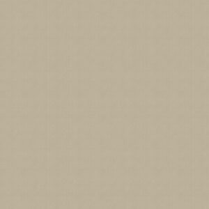 Venus Beige Roller Blind