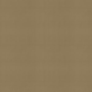 Neptune Biscuit Roller Blind