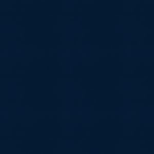 Neptune Ink Roller Blind