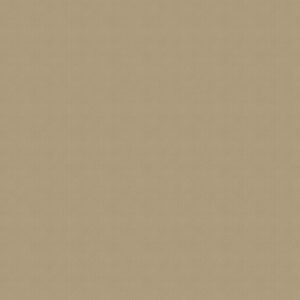 Venus Stone Roller Blind