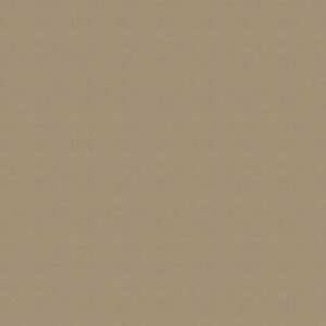 Venus Fawn Roller Blind