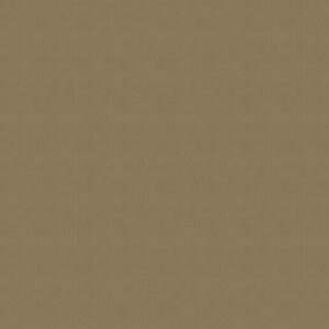 Venus Wheat Roller Blind