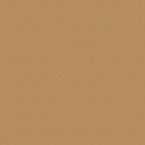 Venus Tan Roller Blind