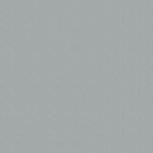 Venus Silver Roller Blind