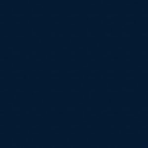 Venus Ink Roller Blind