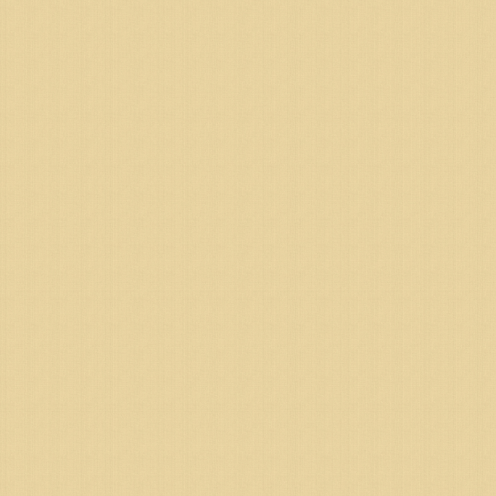 Balance Buff Roller Blind Balance Buff Roller Blind