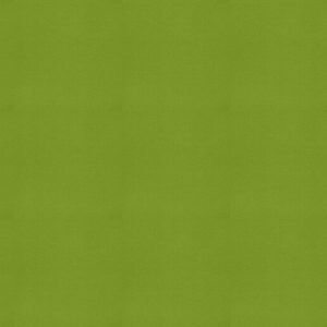 Mercury Kiwi Roller Blind