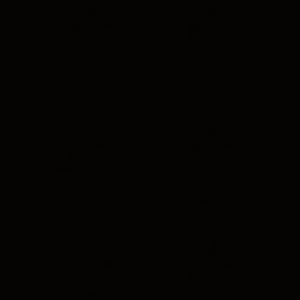 Neptune Black Roller Blind