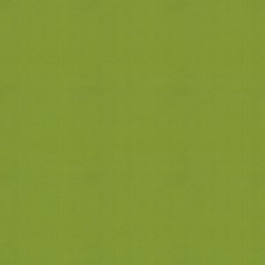 Jupiter Kiwi Roller Blind