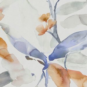 Jarvis Clementine Roller Blind