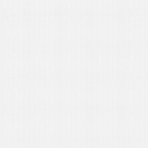 Shipley White Roller Blind