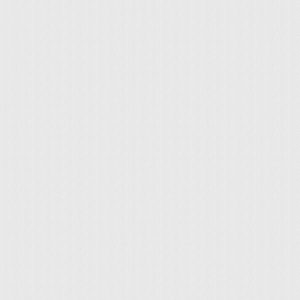 Astin 5% White Roller Blind